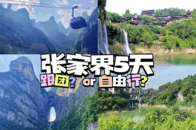 春節(jié)去張家界報(bào)團(tuán)旅游哪個(gè)旅行社好？跟團(tuán)游和自由行哪個(gè)好！